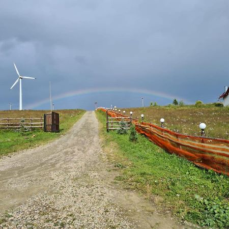 Pensiunea Zana Muntilor Piatra Fântânele Exterior foto