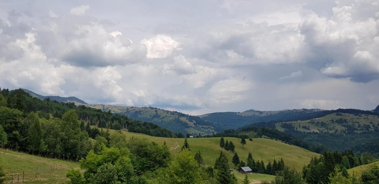 Pensiunea Zana Muntilor Piatra Fântânele Exterior foto