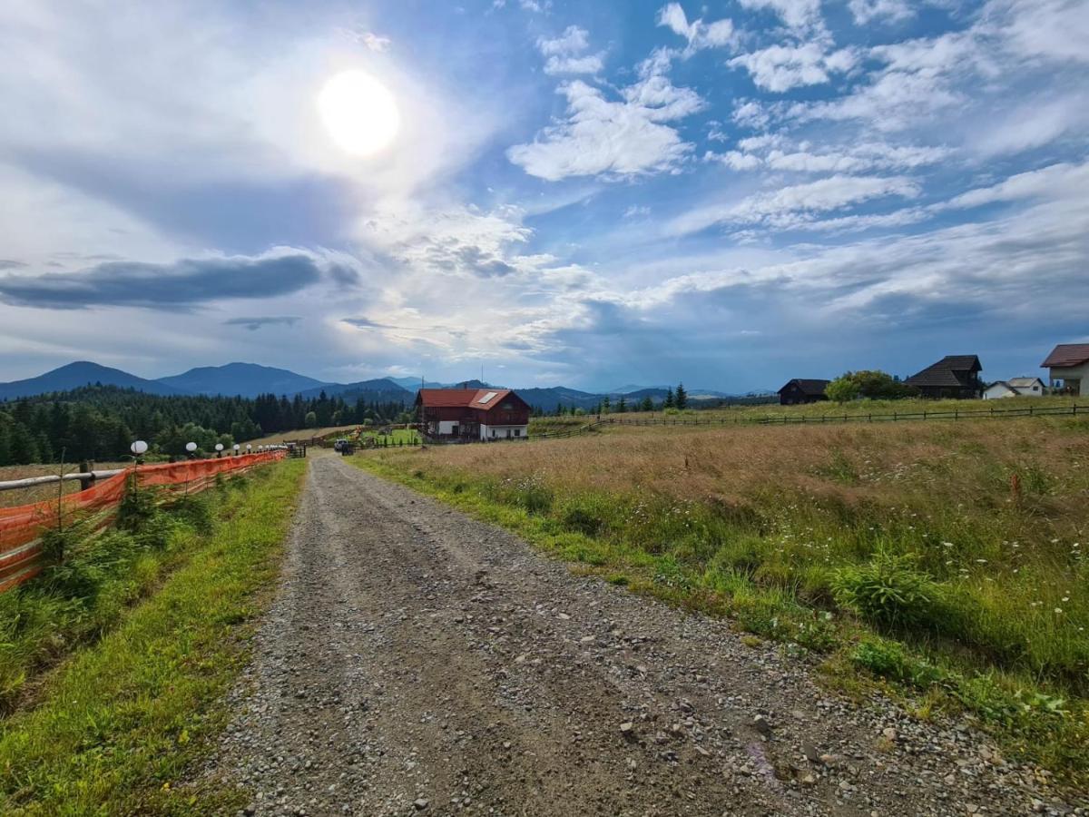 Pensiunea Zana Muntilor Piatra Fântânele Exterior foto